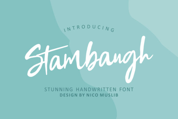 Discover Stambaugh: A Versatile Handwritten Font for Branding