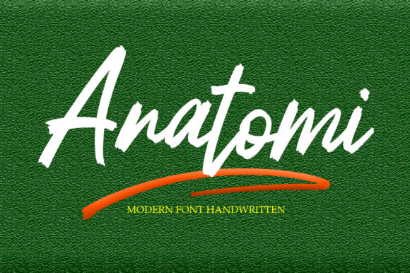 Discovering Anatomi: A Handwritten Font for Elegant Branding