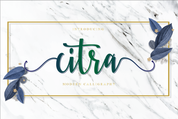 Discovering Citra: A Font for Elegant Editorial Design