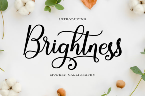 Elevate Your Web Design with Brightness Font