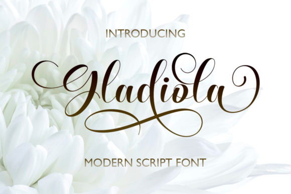 Enhance Your Brand with Gladiola: A Premium Script Font